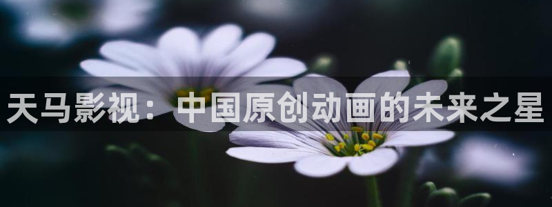 小优视频茄子视频