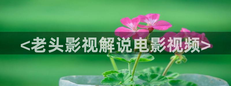 樱桃茄子视频