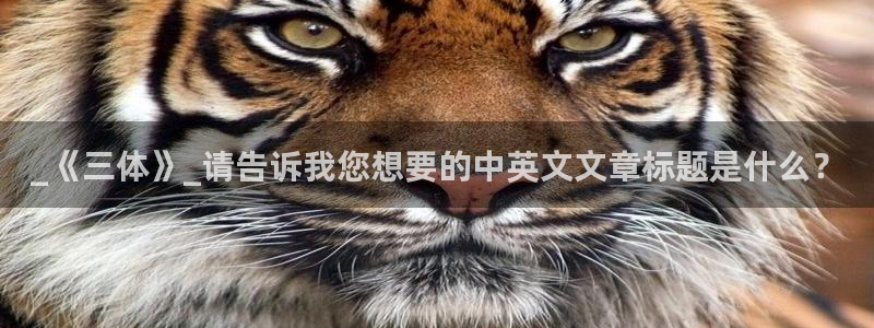 茄子视频一